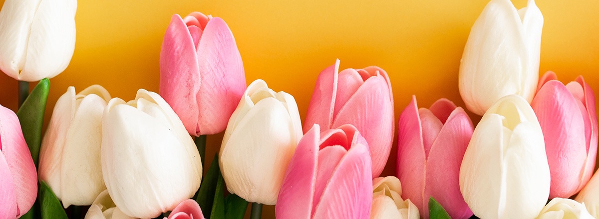 spring-has-sprung-website-hero-image2